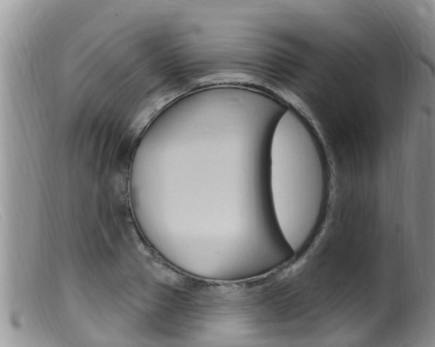 X0000099960937200805231023