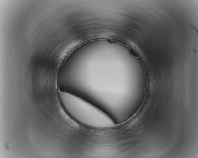X0000099960938200805231023