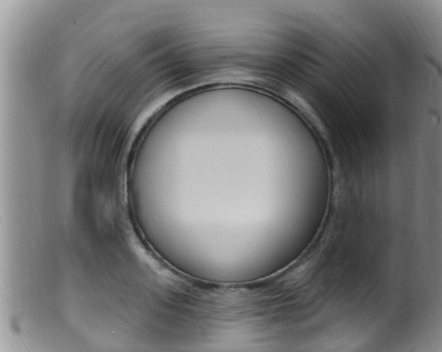 X0000099960939200805231023