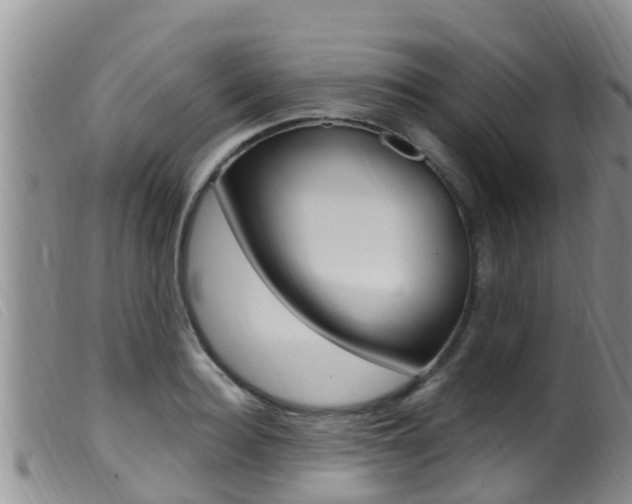 X0000099960940200805231023