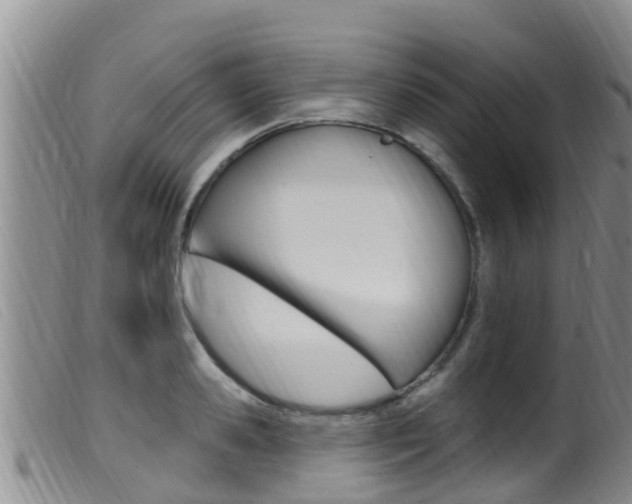 X0000099960941200805231023