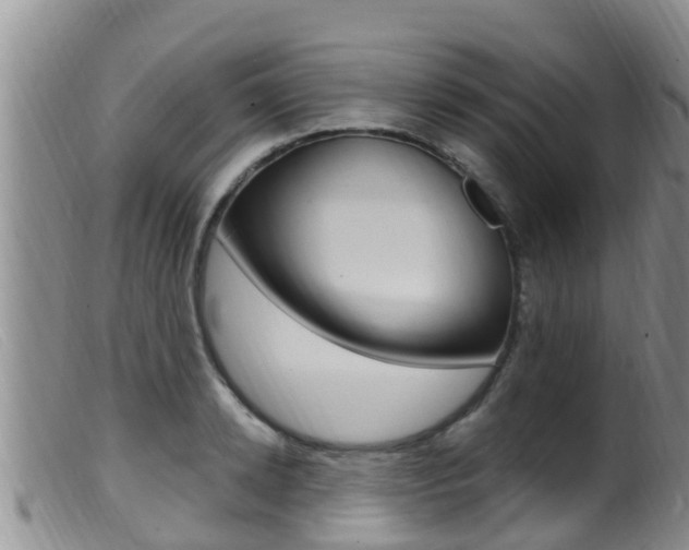 X0000099960942200805231023