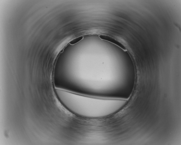 X0000099960946200805231023