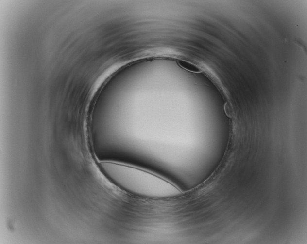 X0000099960947200805231023
