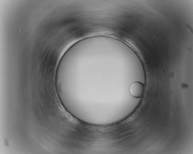 X0000099960948200805231023