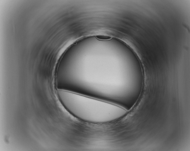 X0000099960949200805231023