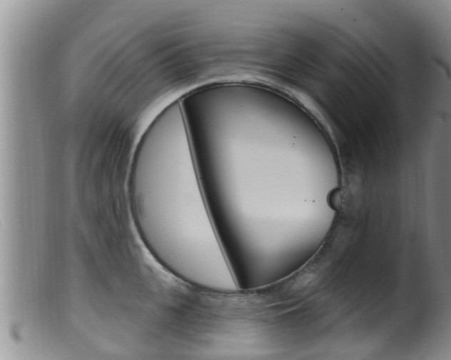 X0000099960951200805231023