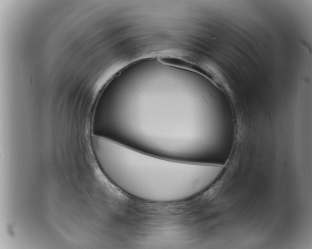X0000099960952200805231023