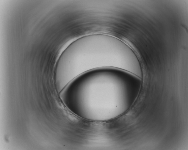 X0000099960956200805231023