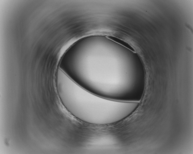 X0000099960960200805231023