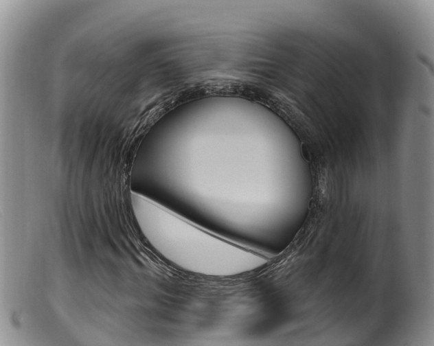 X0000099960964200805231023