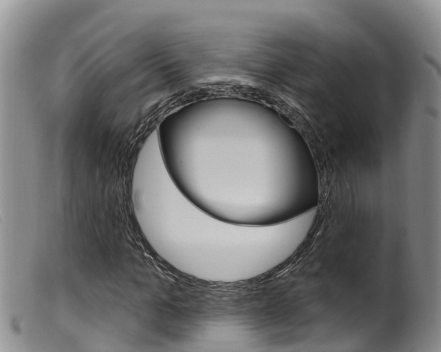 X0000099960965200805231023
