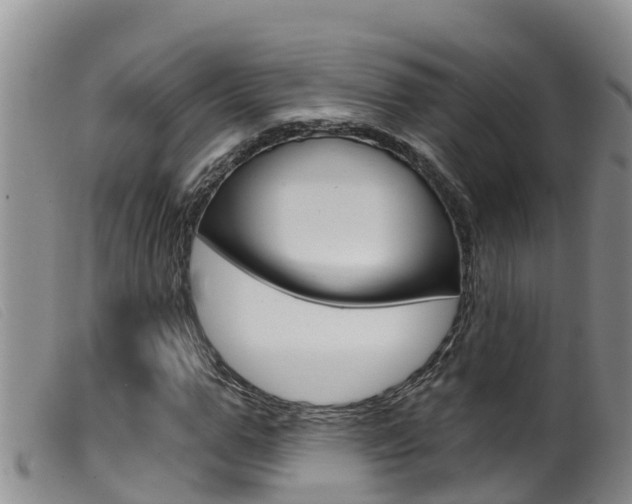 X0000099960967200805231023