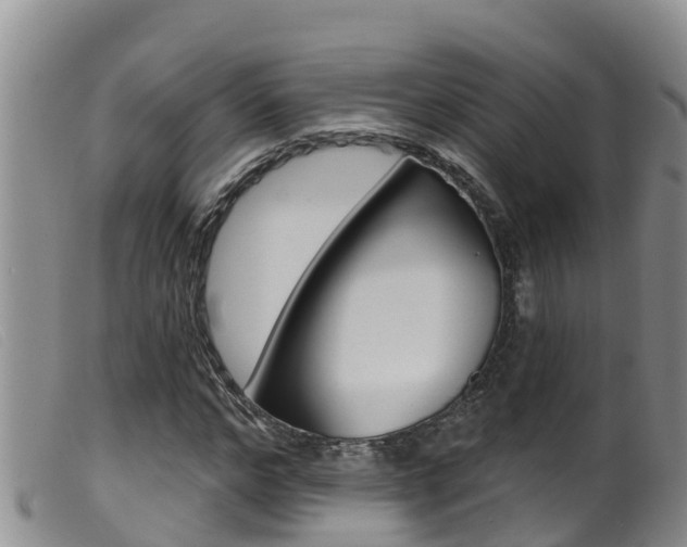 X0000099960968200805231022