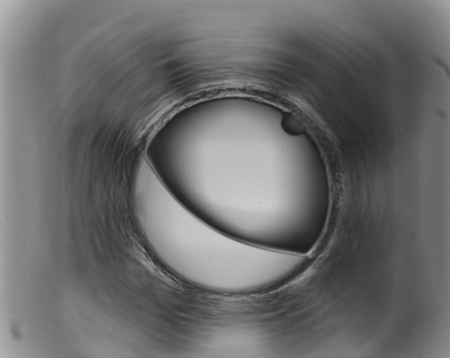 X0000099960969200805231022