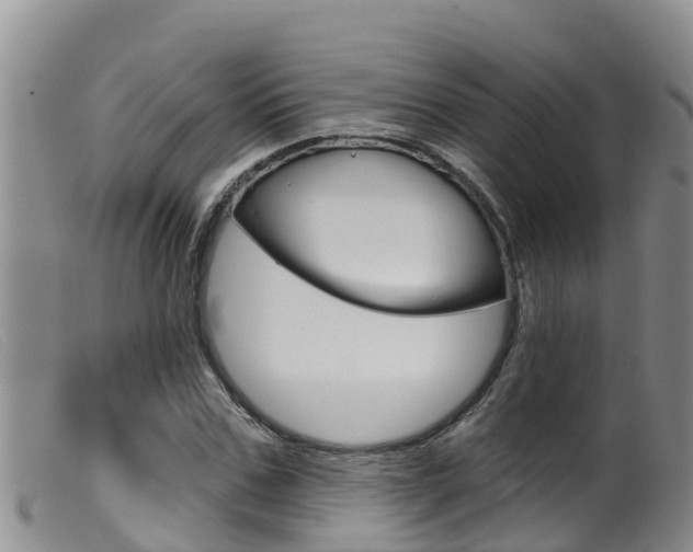 X0000099960971200805231022