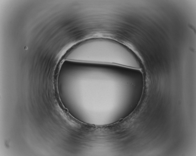 X0000099960972200805231022