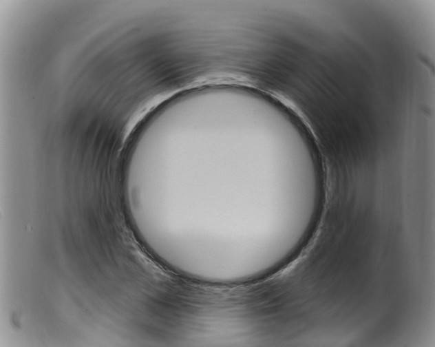 X0000099960973200805231022