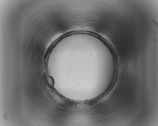 X0000099960974200805231022