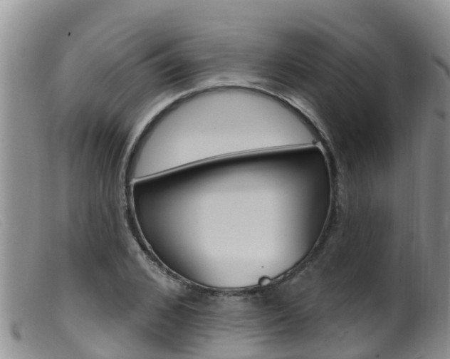 X0000099960976200805231022