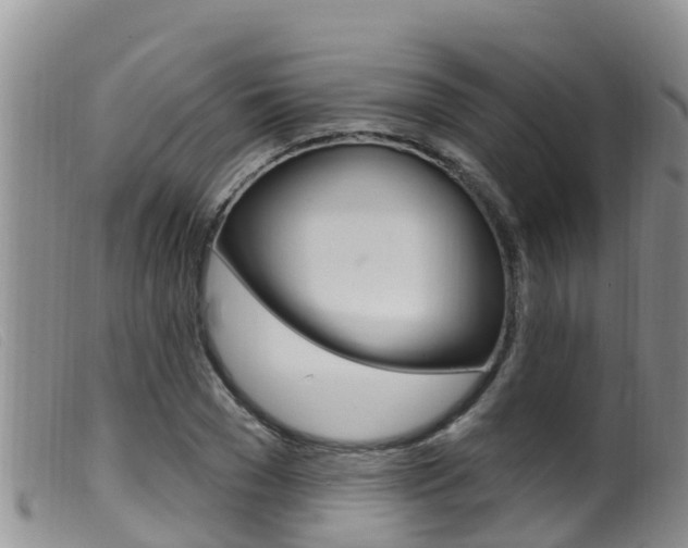 X0000099960977200805231022