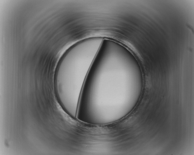 X0000099960980200805231022
