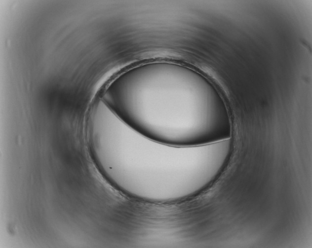 X0000099960983200805231022
