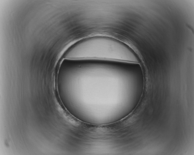 X0000099960984200805231022