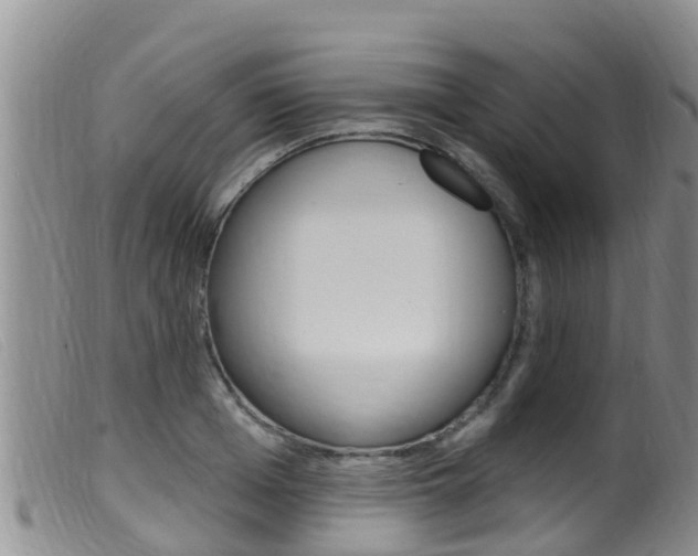 X0000099960985200805231022