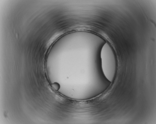 X0000099960986200805231022