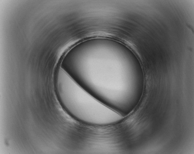 X0000099960987200805231022