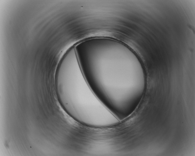 X0000099960988200805231022