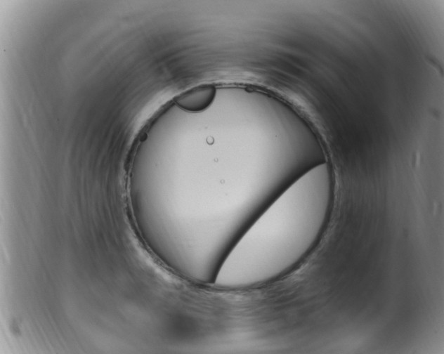 X0000099960990200805231022