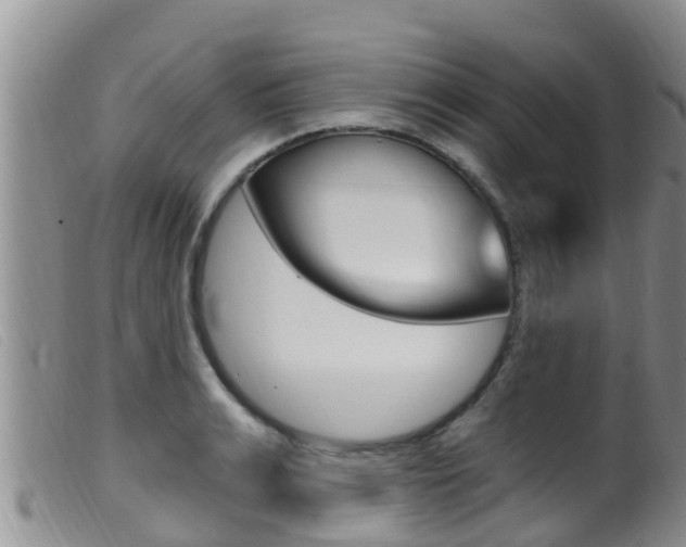 X0000099960991200805231022