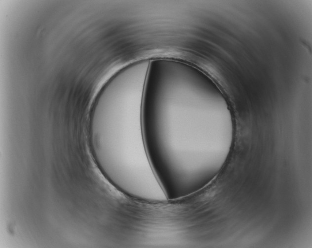 X0000099960992200805231022