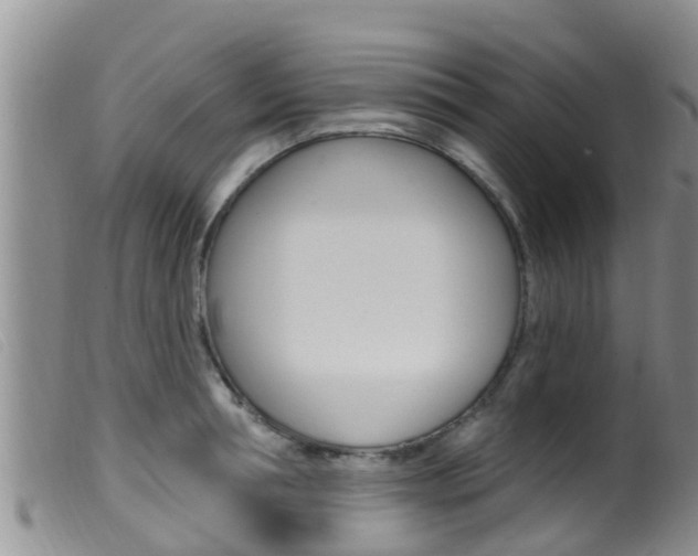 X0000099960994200805231022
