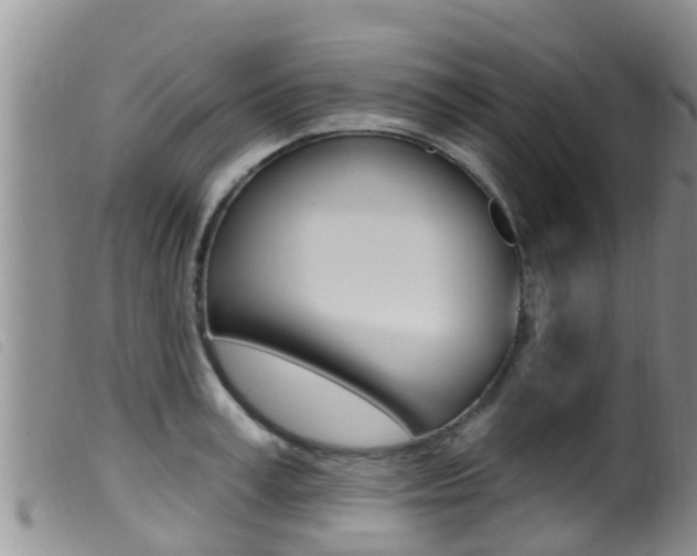 X0000099960995200805231022