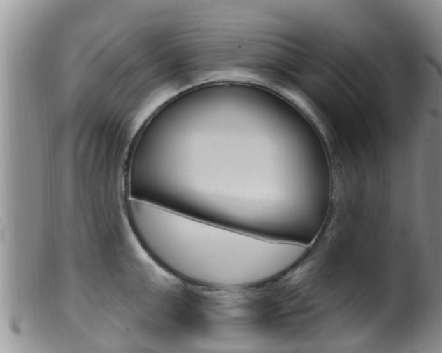 X0000099960999200805231022