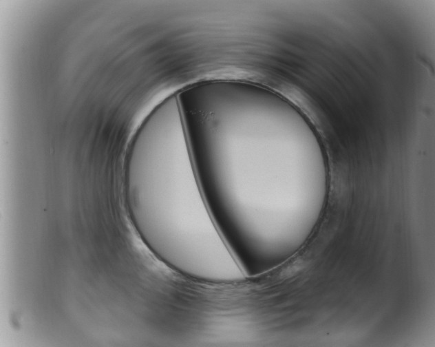 X0000099961000200805231022