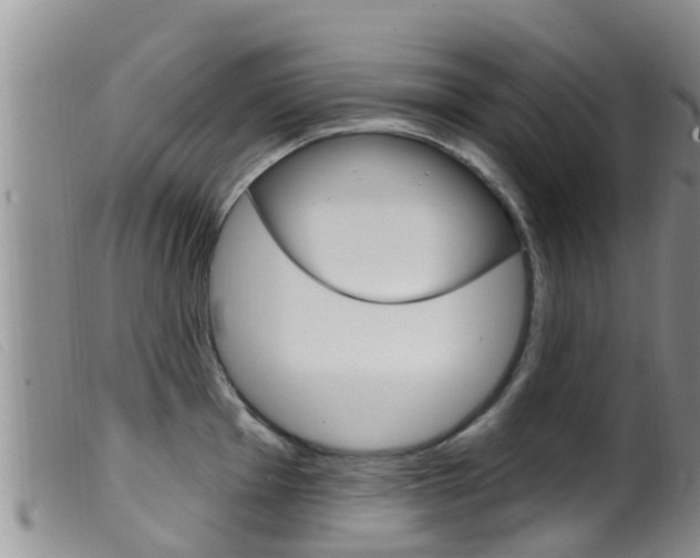 X0000099961001200805231022