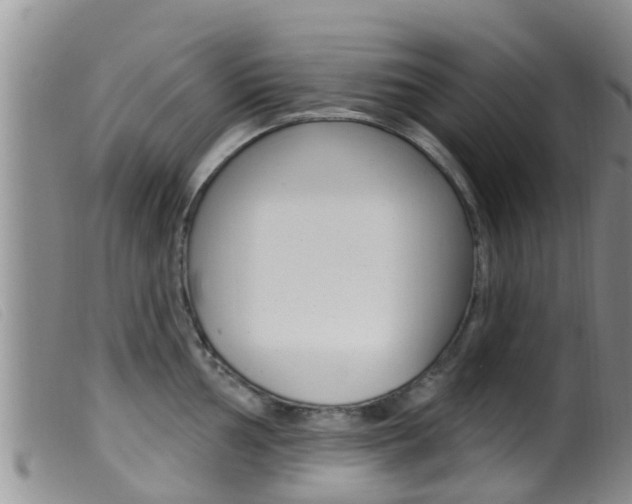 X0000099961002200805231022