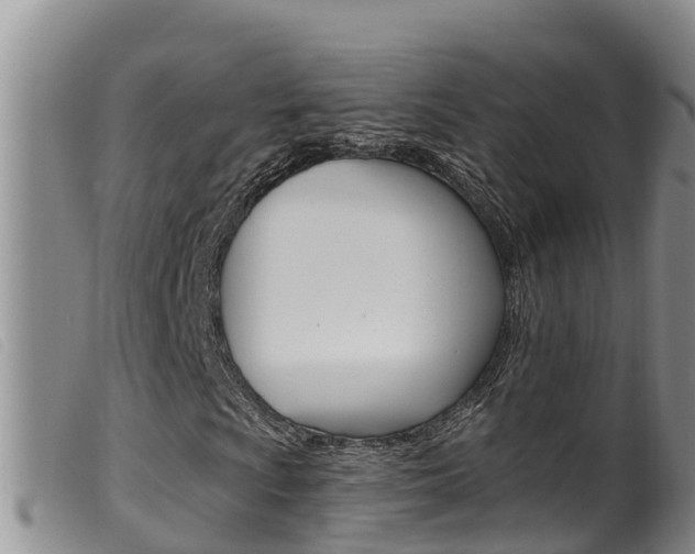 X0000099961009200805231021