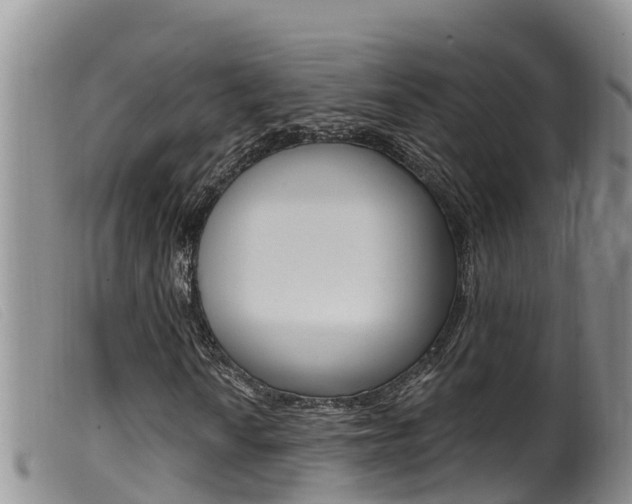X0000099961010200805231021