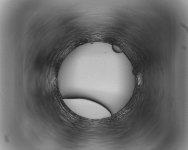X0000099961011200805231021