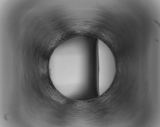 X0000099961012200805231021