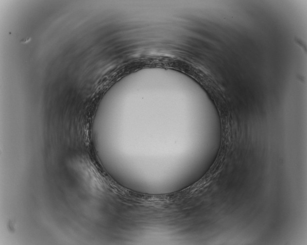 X0000099961013200805231021