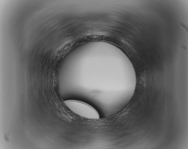 X0000099961014200805231021