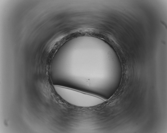 X0000099961016200805231021