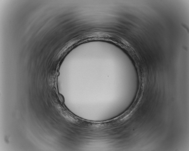 X0000099961017200805231021
