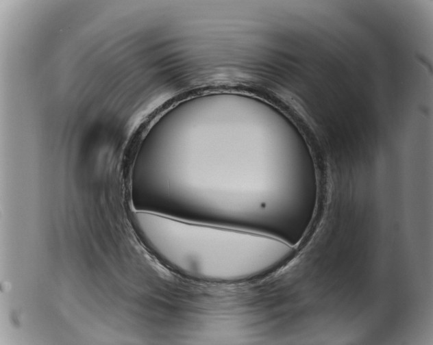 X0000099961018200805231021